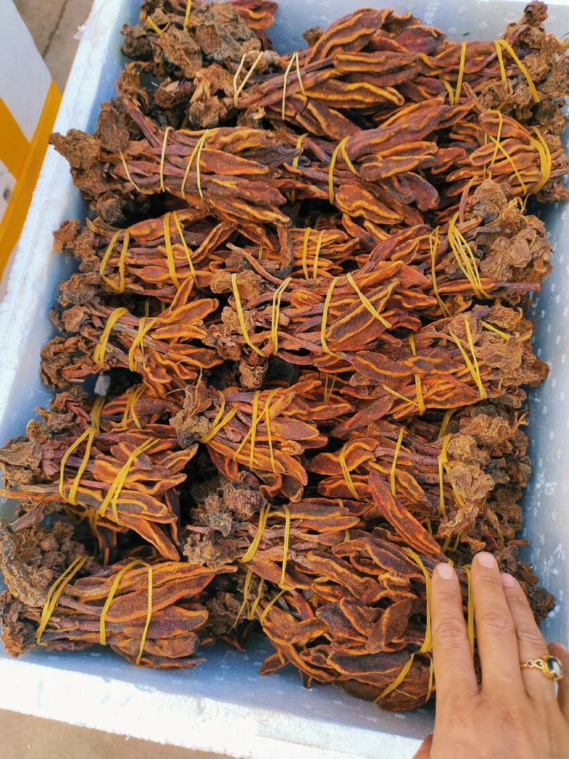 回春草小货