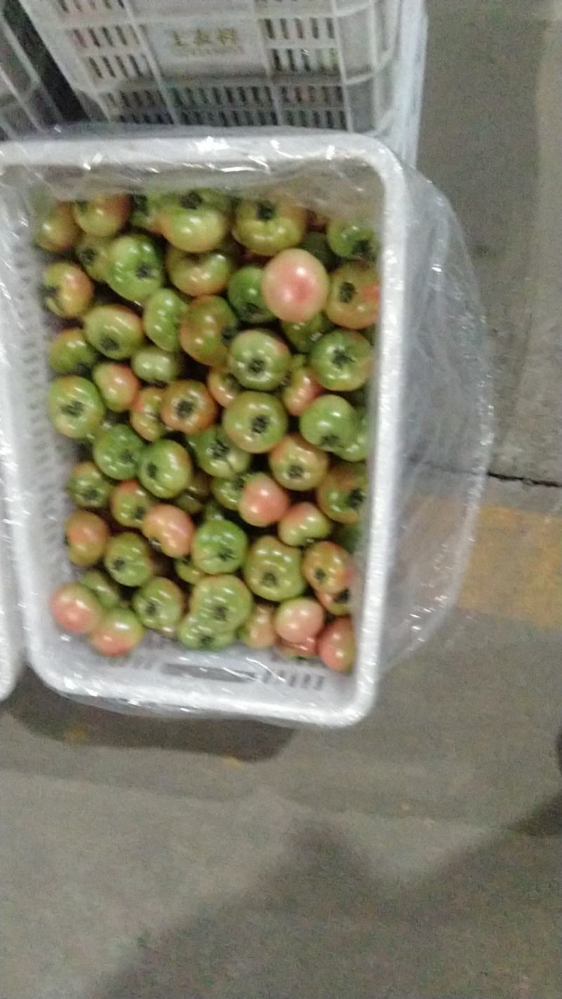 草莓西红柿