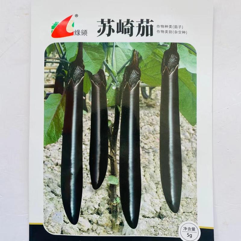 绿领菲尼克斯紫黑长线茄种子杭茄茄子条茄种子早熟高产黑茄子