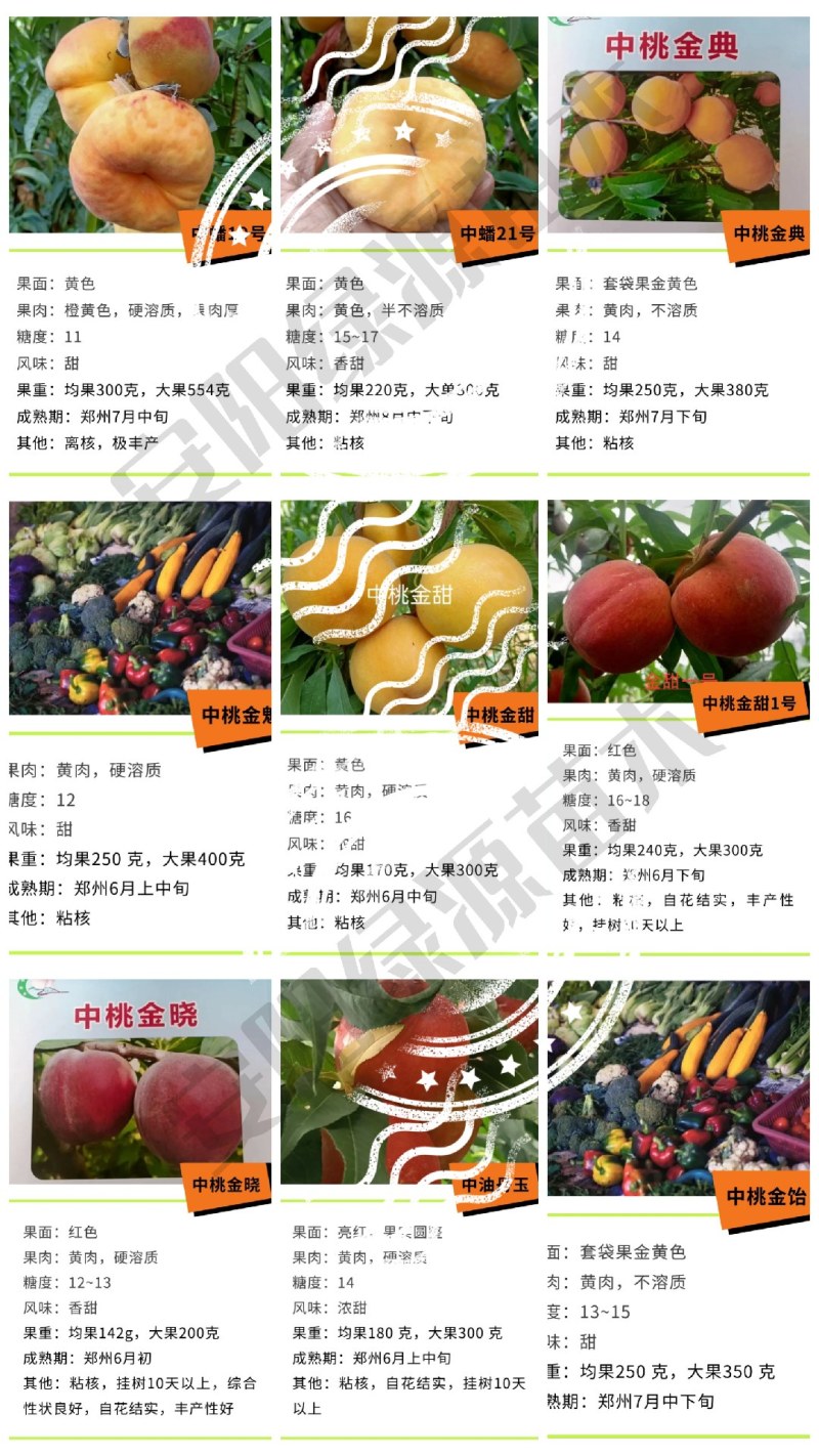 桃新品种早熟晚熟特大果香甜毛桃油桃蟠桃黄桃蜜桃