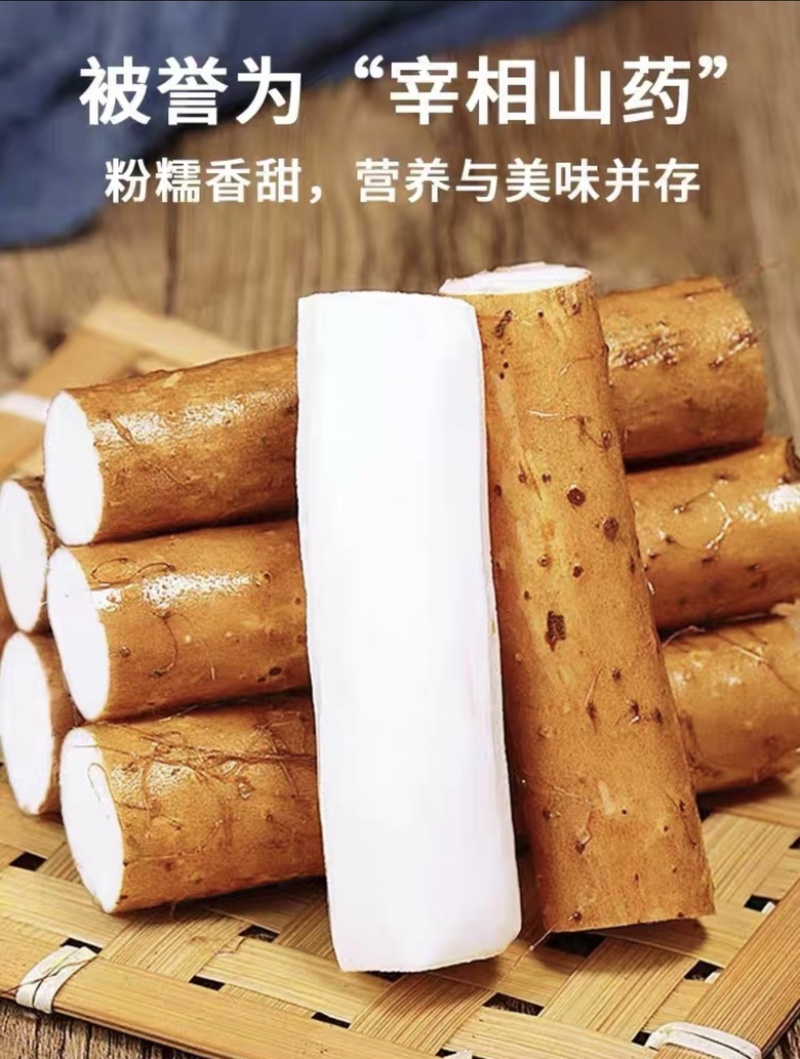 河北铁棍山药新鲜蔬菜农家自种山药小白嘴河北山药特产小白嘴