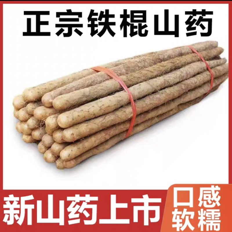 河北铁棍山药新鲜蔬菜农家自种山药小白嘴河北山药特产小白嘴