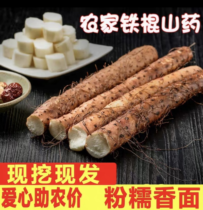 河北铁棍山药新鲜蔬菜农家自种山药小白嘴河北山药特产小白嘴
