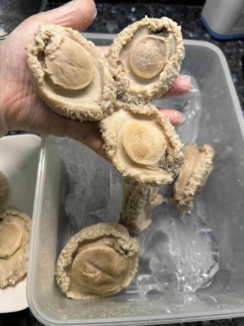 实惠南非干鲍，全规格鲍鱼价格实惠欢迎合作