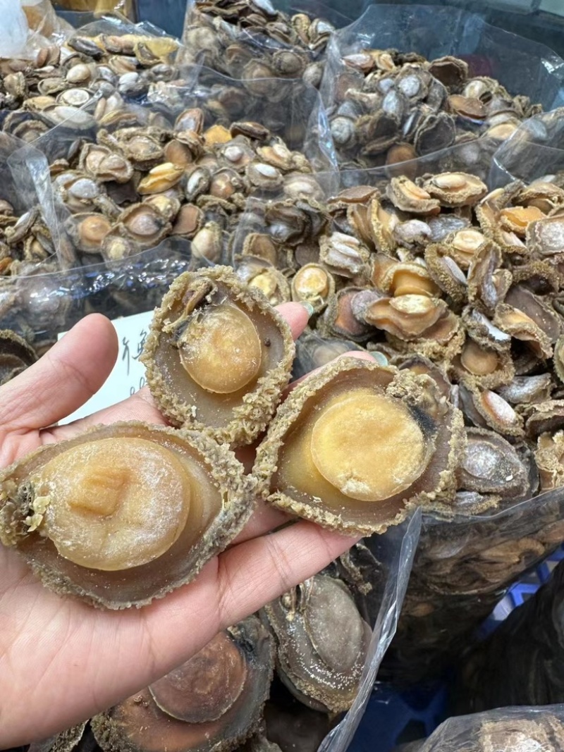 实惠南非干鲍，全规格鲍鱼价格实惠欢迎合作