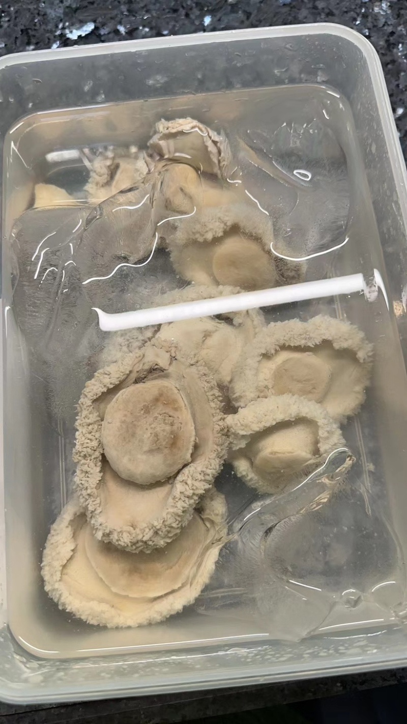 实惠南非干鲍，全规格鲍鱼价格实惠欢迎合作