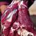 陕北横山精品羊肉，产地直发带专用炖羊肉调料包