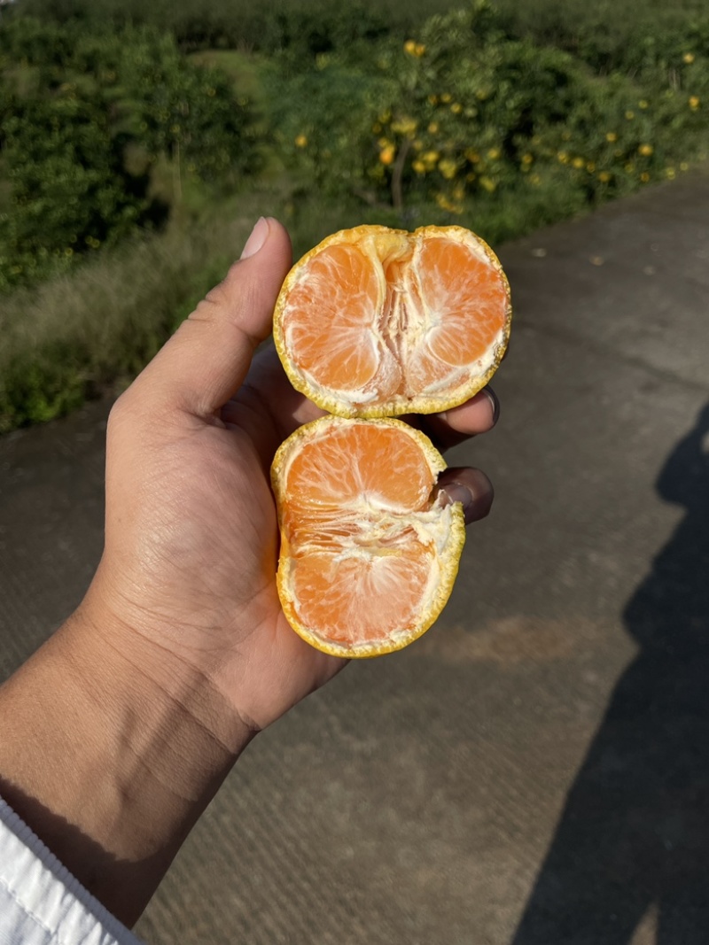 蜜橘现货，两百万斤，纯甜无酸，口感细腻，