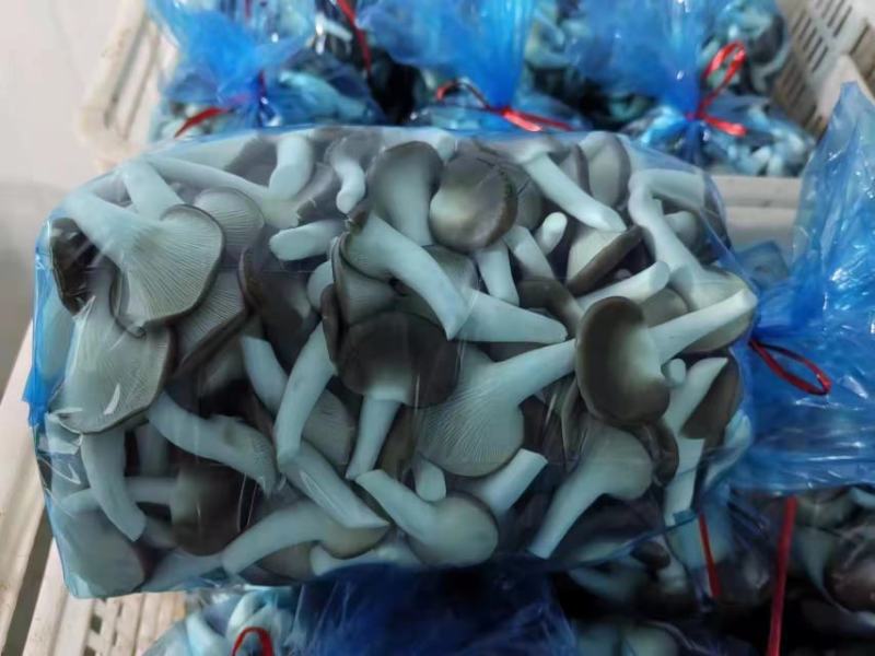 秀珍菇猪肚菇黑皮鸡枞