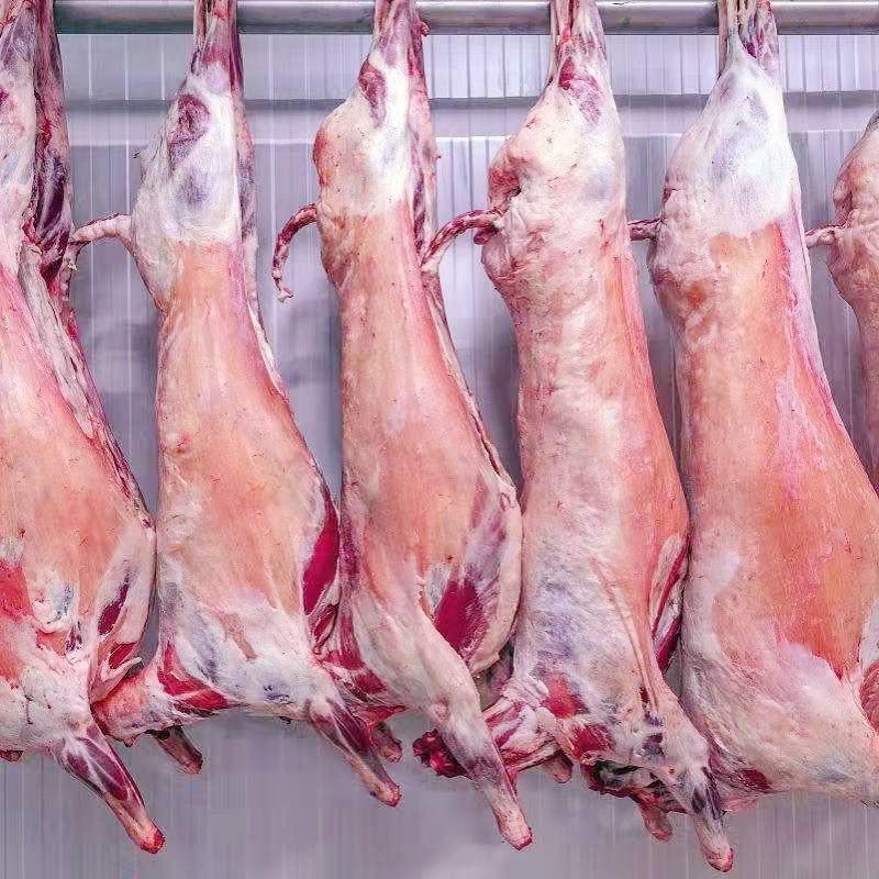 羊肉整只宁夏盐池滩羊烤全羊专用羊羔肉货源充足品质保