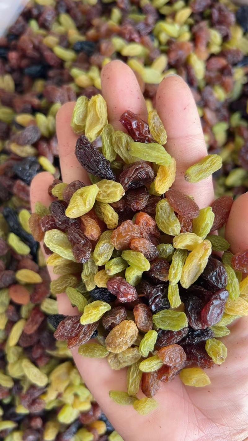 【优质】葡萄干新疆葡萄干自然晾晒颗粒大干度好对接团购