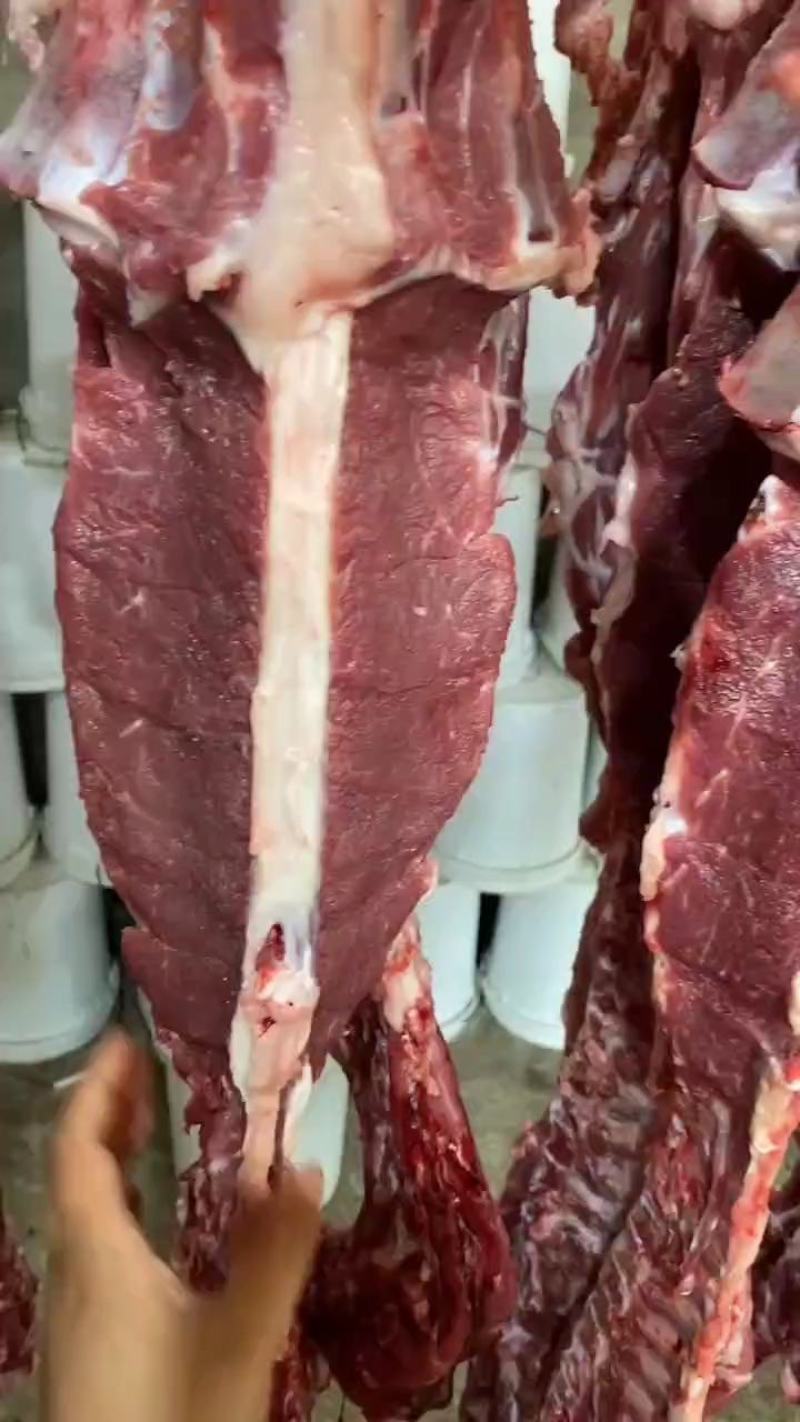 河北河间市羊蝎子羊脊骨羊蝎子肉含量高清真食品量大优惠