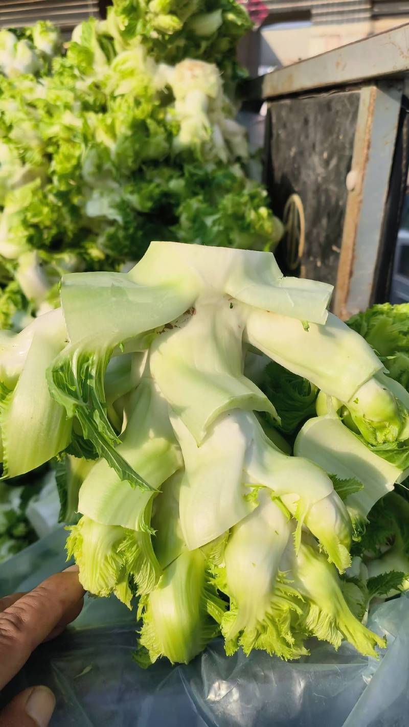 儿菜，砀山本地一手货源，可大量供货，包装齐全。