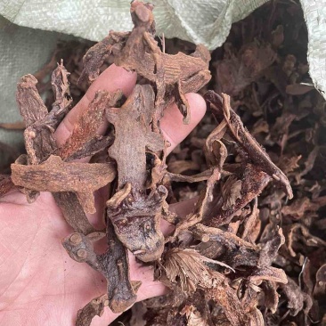 骨碎补(全检）