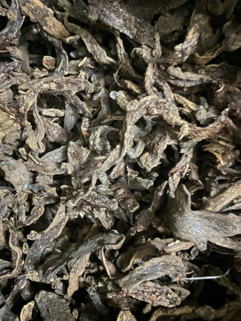 骨碎补(全检）