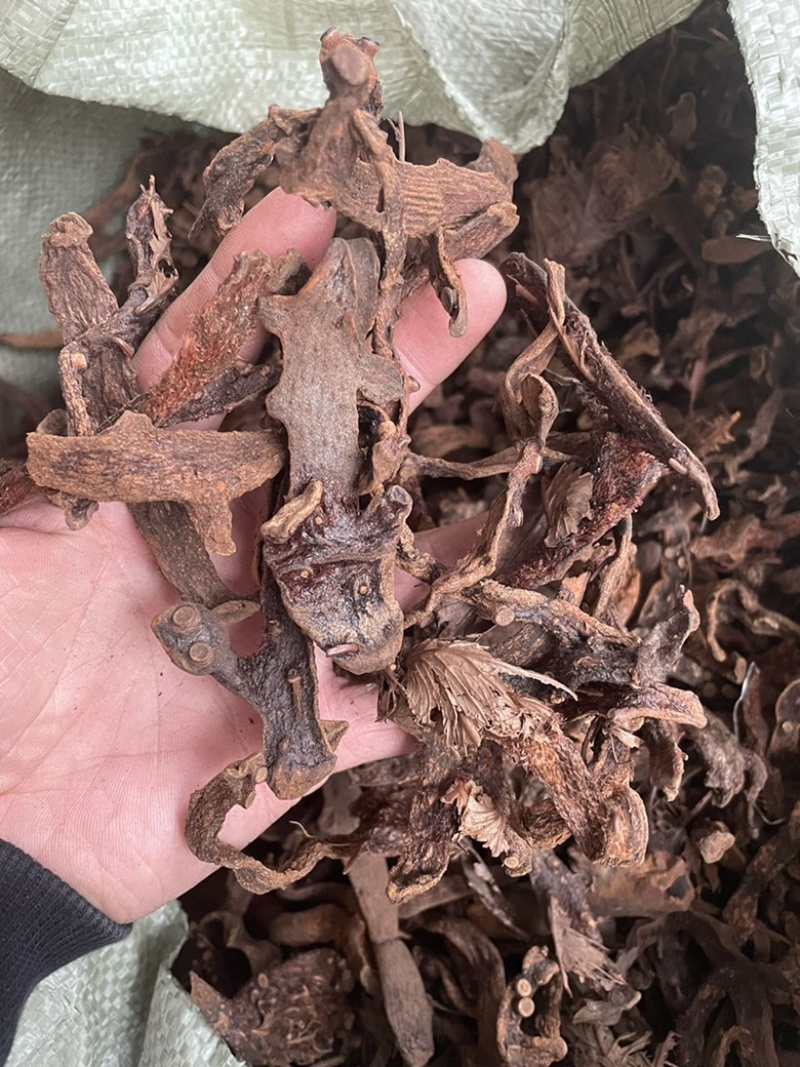 骨碎补(全检）