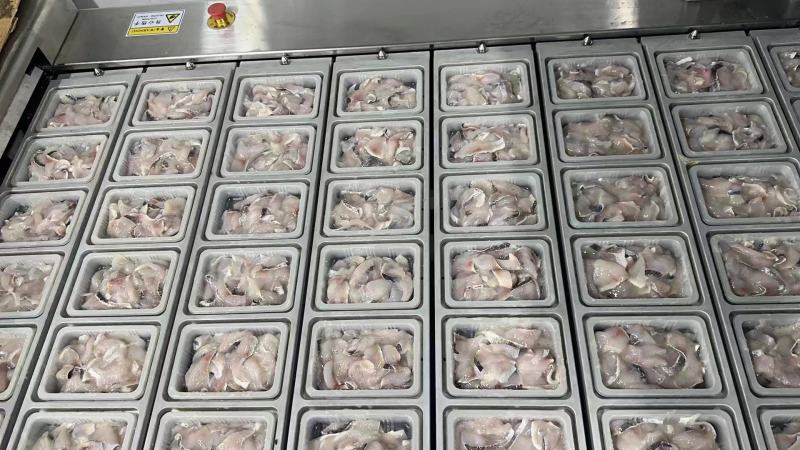 开背鲈鱼，鱼头，承接各类水产品加工定制