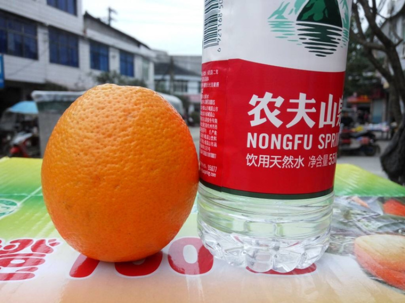 鲜果脐橙便宜满足各种规格量大