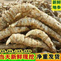 宝塔菜新鲜甘露子螺丝菜宝塔玉珠地牯牛地葫芦地环地参欢迎联