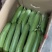 江苏精品香丝瓜油皮丝瓜大量供货产地直供实力供商超