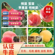 桃苗中蟠13中蟠15中蟠7中蟠19中盘9，毛桃苗油桃苗蟠