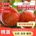 新品种桃苗，36-3奶油盘油桃苗蟠桃苗黄桃苗中桃中油金黄