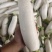 产地直销精品白萝卜大量有货新鲜采摘欢迎咨询