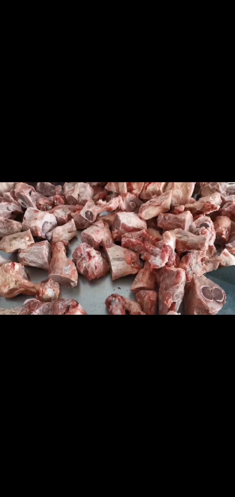 国产多肉腿骨块