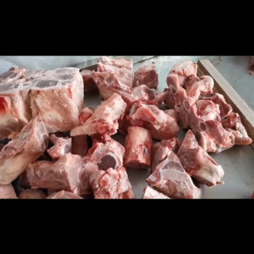国产多肉腿骨块