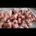 国产多肉腿骨块