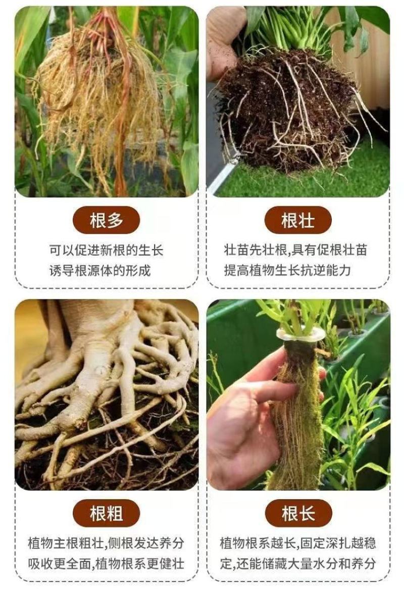 根美力含腐殖酸水溶肥生根壮根提高小苗成活率防病增产