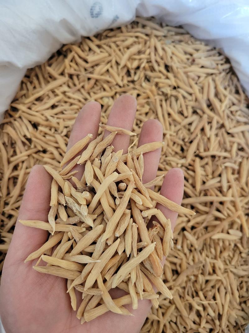 麦冬山麦冬多种规格大货供应七彩百草中药材批发
