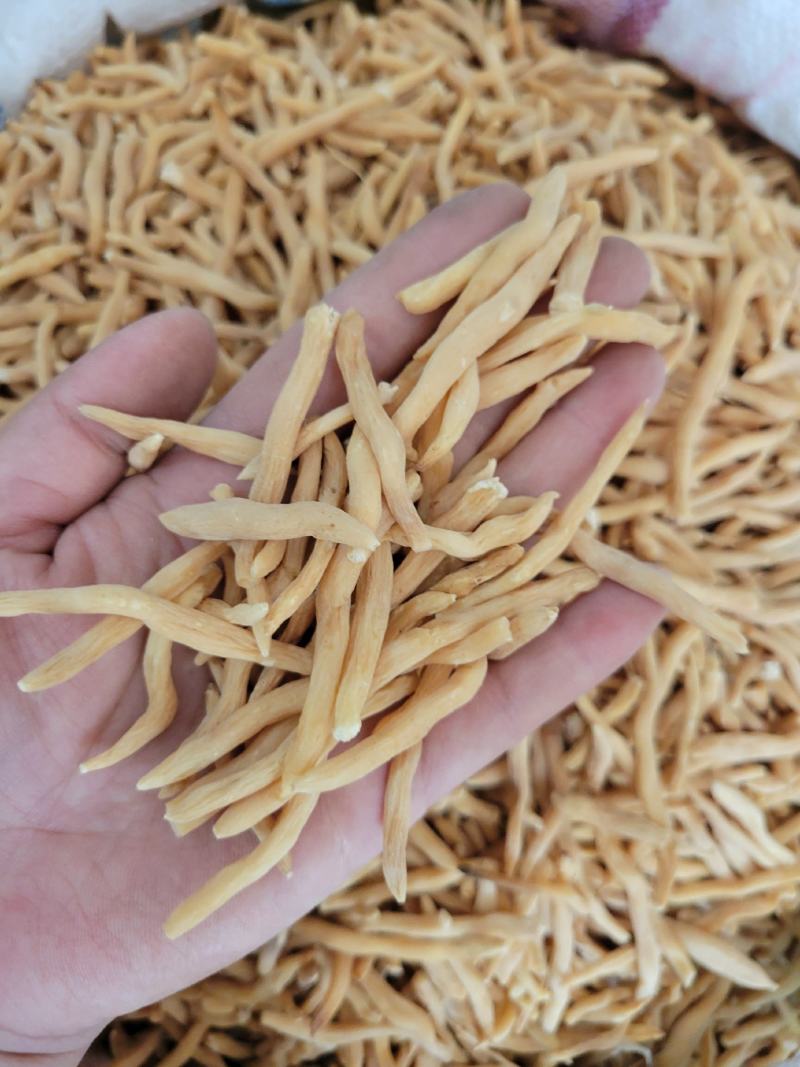 麦冬选货山麦冬多种规格大货供应七彩百草中药材批发