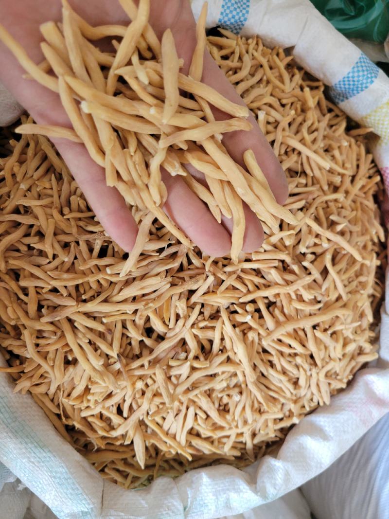麦冬选货山麦冬多种规格大货供应七彩百草中药材批发