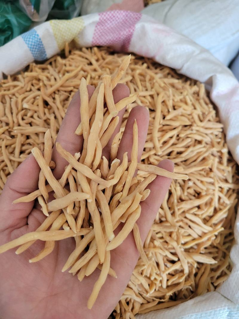 麦冬选货山麦冬多种规格大货供应七彩百草中药材批发