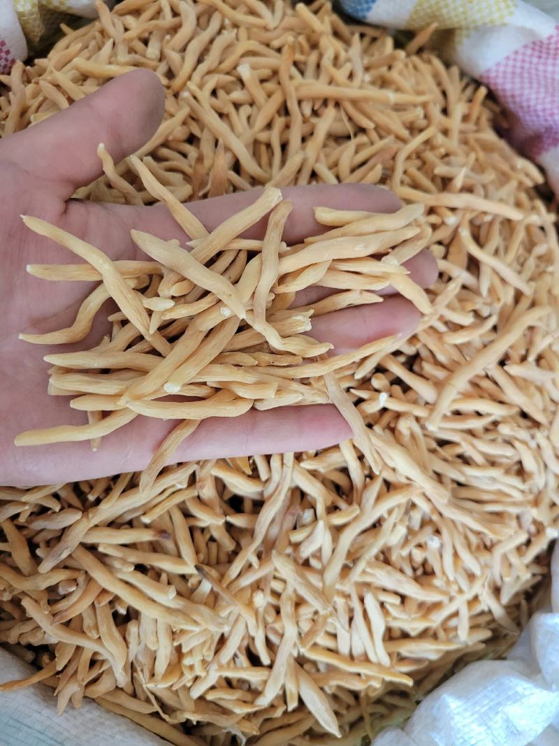 麦冬选货山麦冬多种规格大货供应七彩百草中药材批发