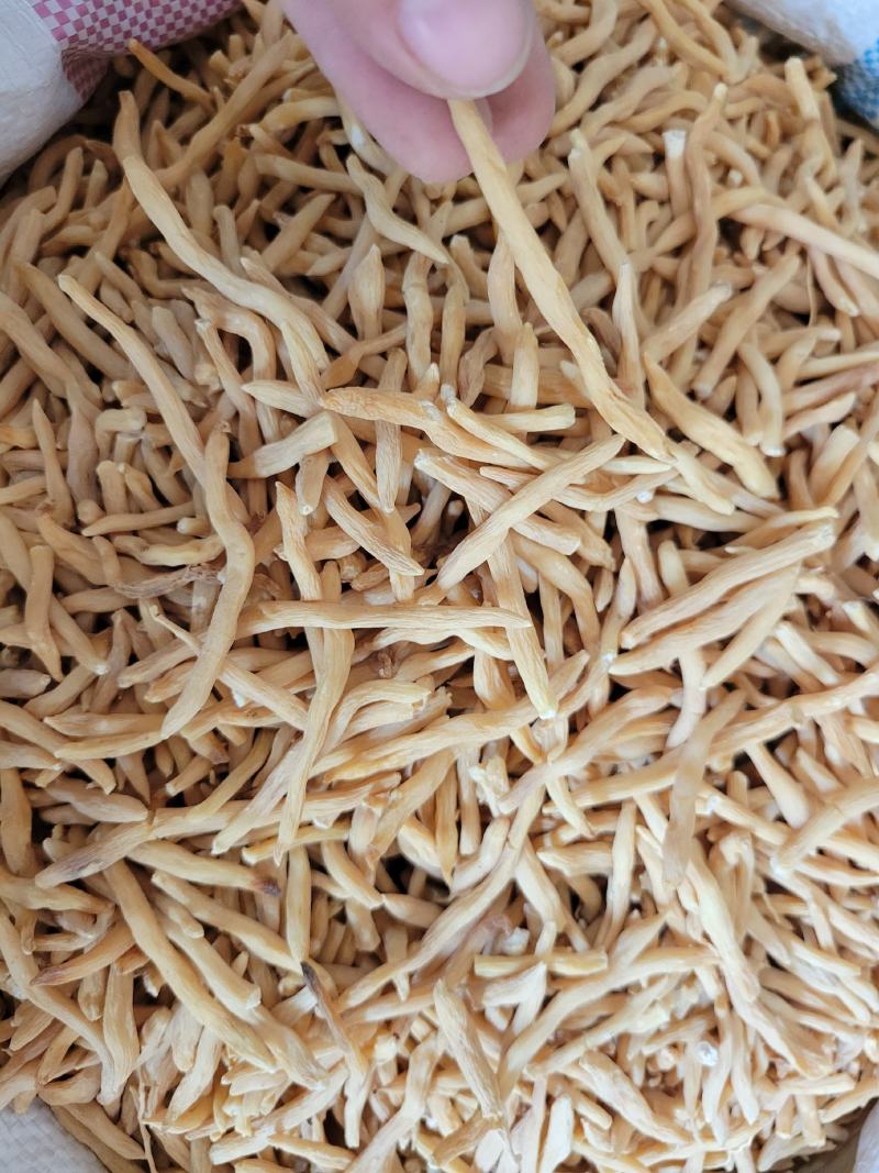 麦冬选货山麦冬多种规格大货供应七彩百草中药材批发