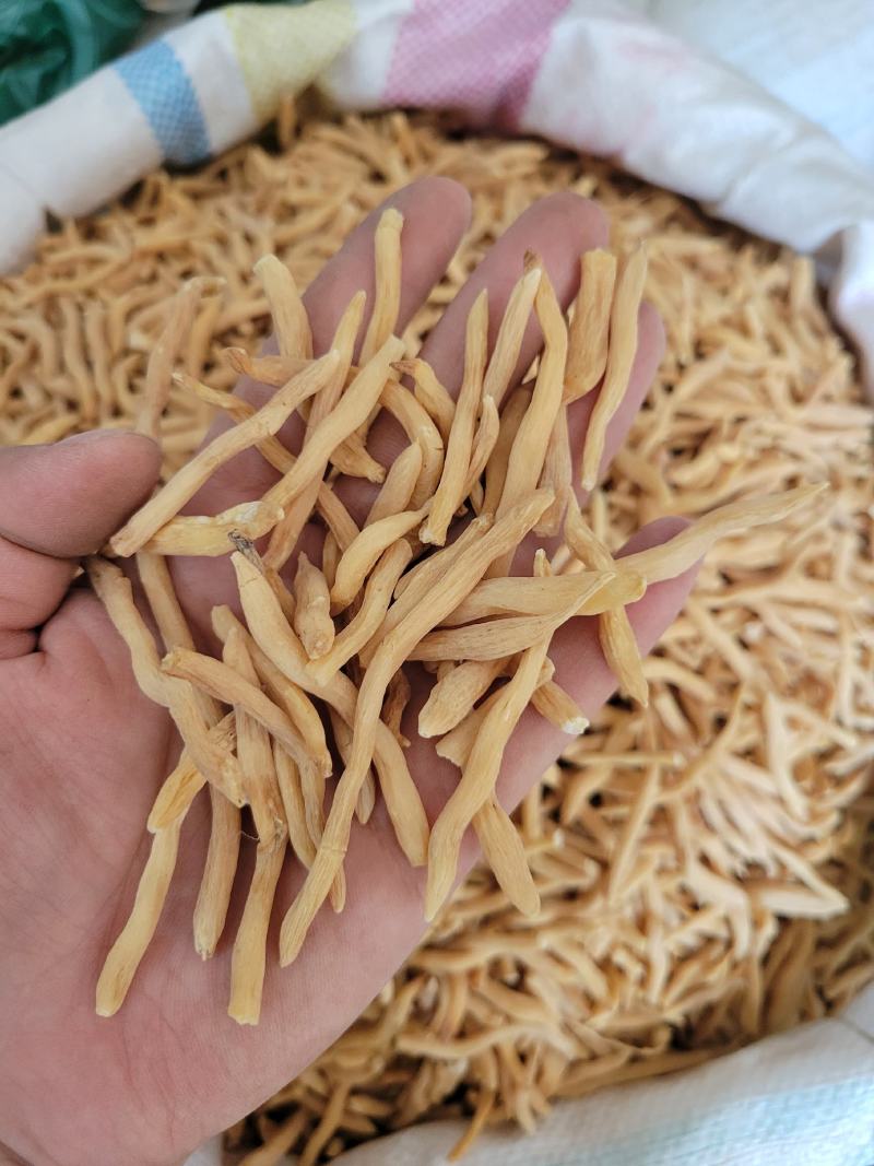 麦冬选货山麦冬多种规格大货供应七彩百草中药材批发