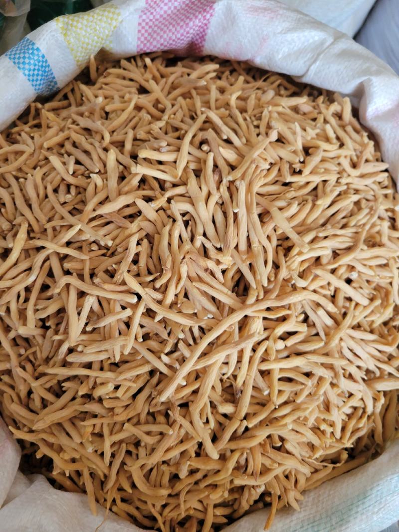 麦冬选货山麦冬多种规格大货供应七彩百草中药材批发