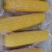 黑龙江精品糯玉米一手货源真空包装量大从优欢迎采购