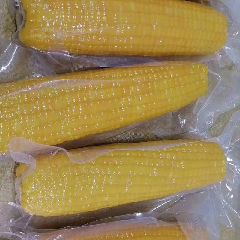 黑龙江精品糯玉米一手货源真空包装量大从优欢迎采购