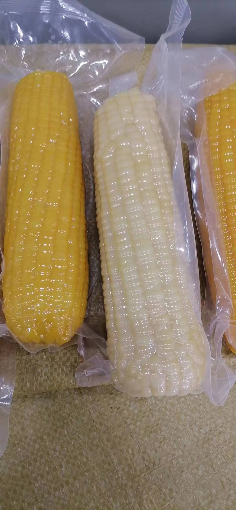 黑龙江精品糯玉米一手货源真空包装量大从优欢迎采购