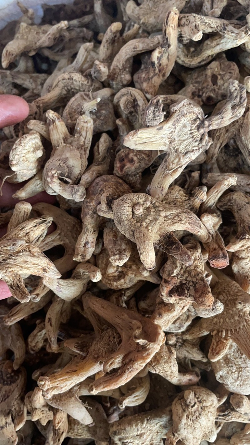 干品白芨货源充足中药材保真保量产地直售