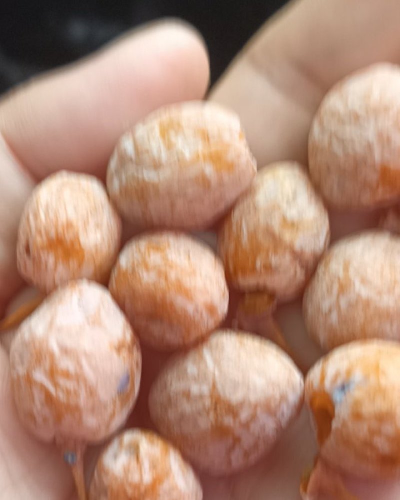 银杏果