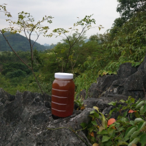 出售来自陕西秦岭山区的正宗土蜂蜜质量保证欢迎来电咨询