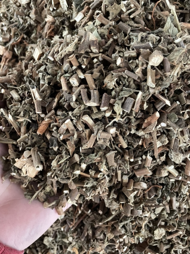 广藿香大量有货，产地一手货源，够含量，批发零售，量大从优