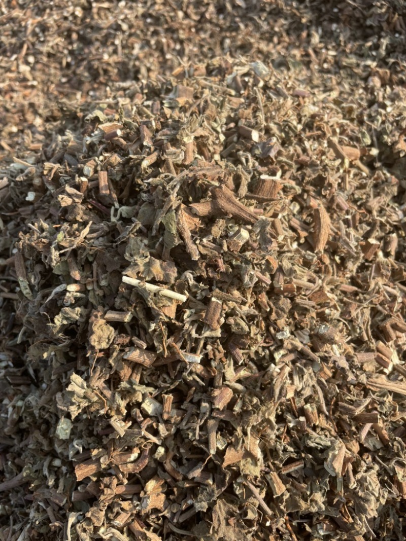 广藿香大量有货，产地一手货源，够含量，批发零售，量大从优