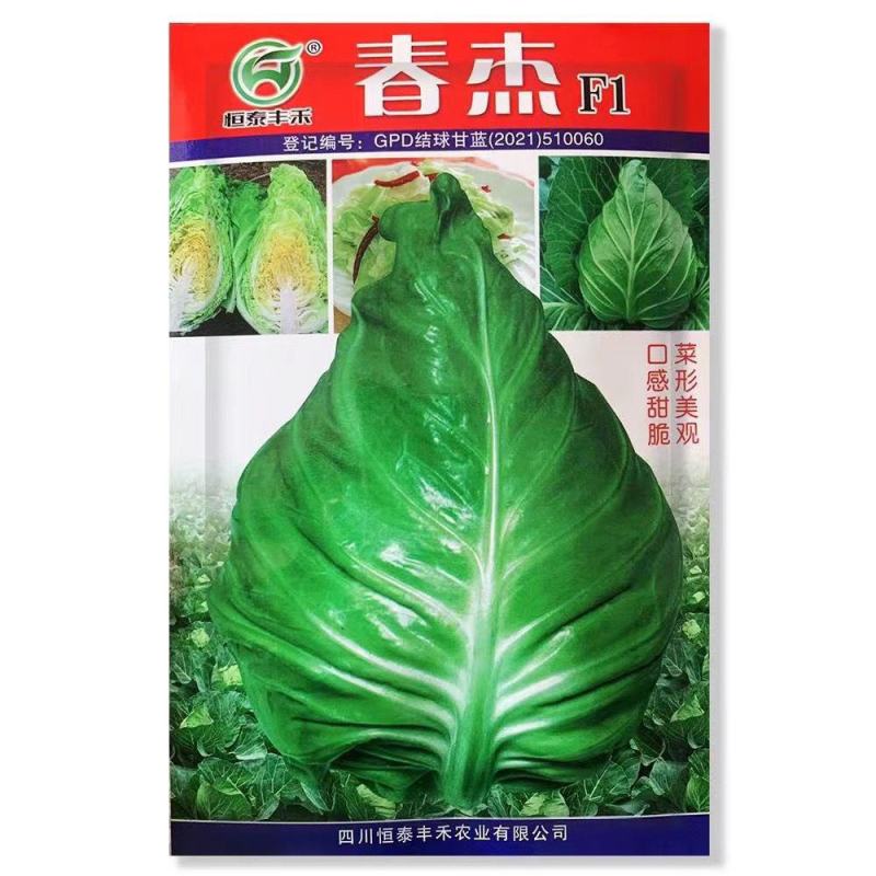 春杰甘蓝种子牛心甘兰牛心菜包菜卷心菜正品高产杂交蔬菜有机