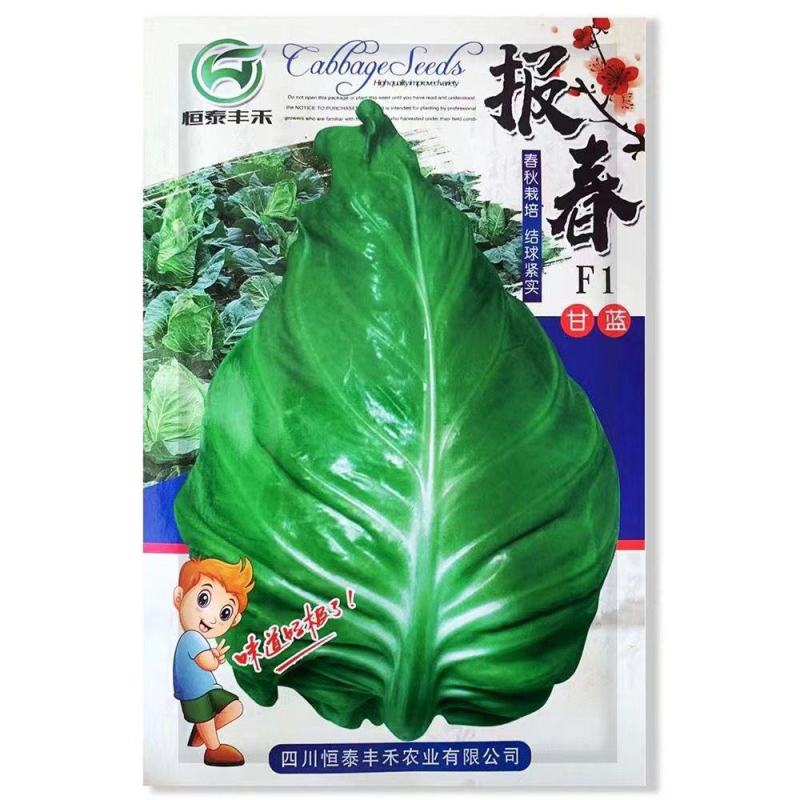 春杰甘蓝种子牛心甘兰牛心菜包菜卷心菜正品高产杂交蔬菜有机