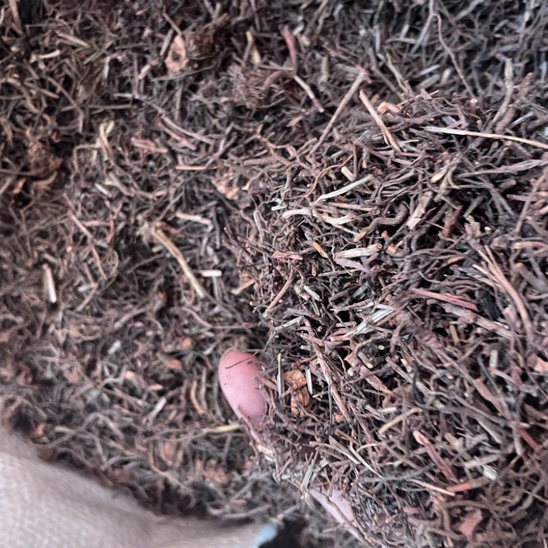 中药材茜草产地直售保真保量货源充足包邮